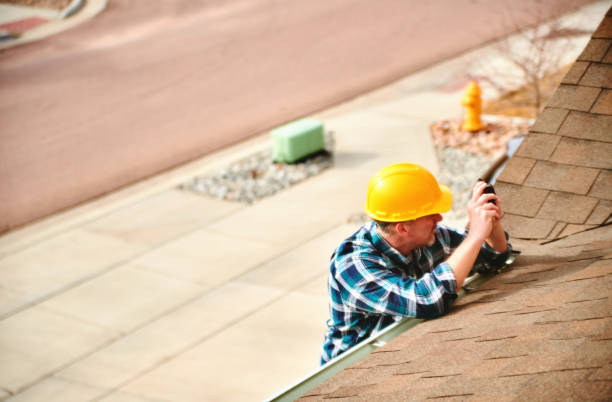 Best Storm Damage Roof Repair  in Palo, IA