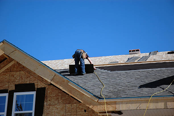 Best Storm Damage Roof Repair  in Palo, IA
