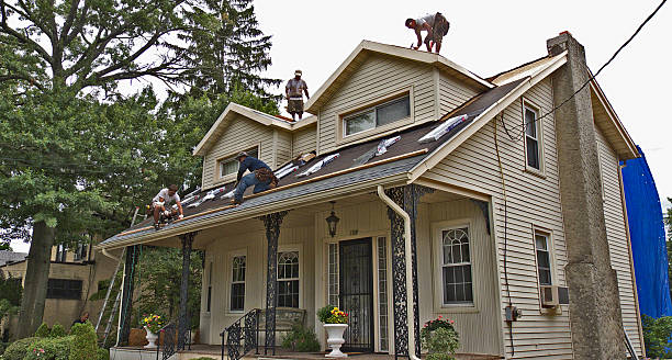 Best Emergency Roof Repair  in Palo, IA